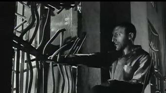 birdman电影在线观看,电影在线观看，探寻好莱坞明星的华丽蜕变  第3张