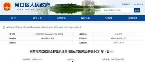 爆料发新闻线索怎么处理,新闻线索处理全解析  第3张